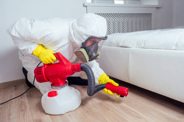 Best Local Pest Control Services  in Coatesville, PA