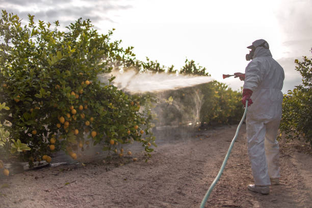 Best Pest Control for Businesses  in Coatesville, PA
