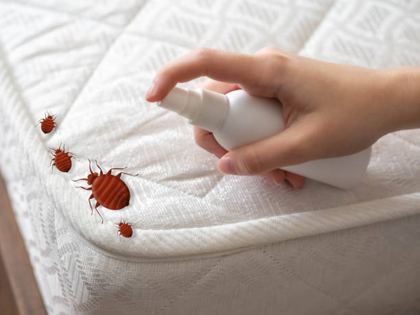 Pest Prevention Services in Coatesville, PA