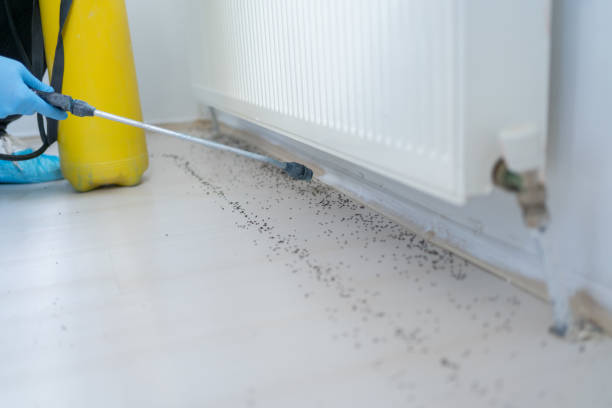 Best Commercial Pest Control Services  in Coatesville, PA