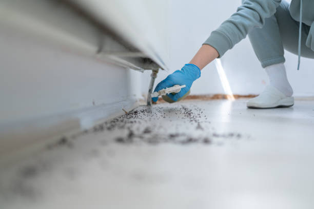 Best Pest Removal Services  in Coatesville, PA